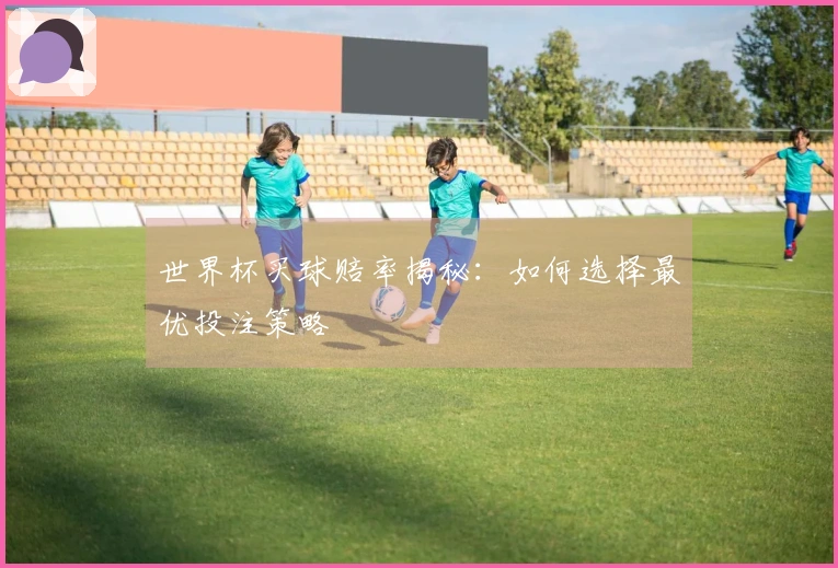 世界杯买球赔率揭秘：如何选择最优投注策略