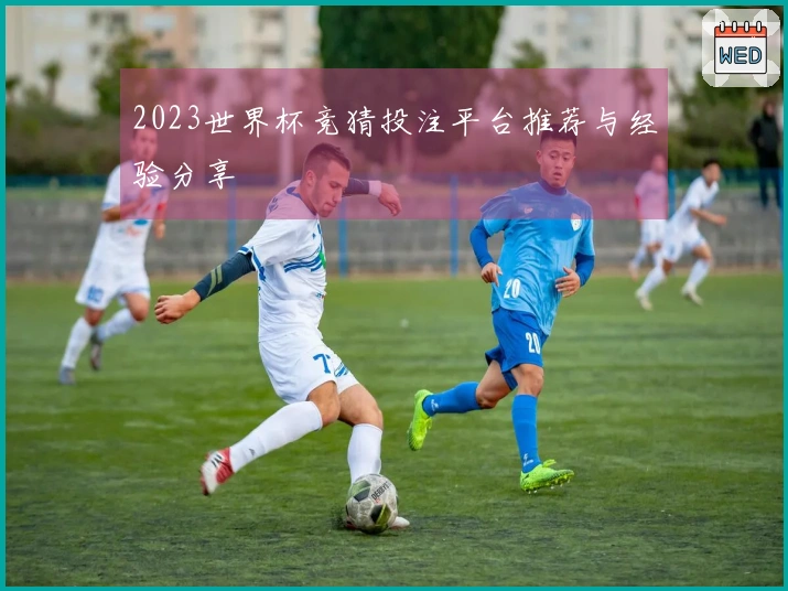 2023世界杯竞猜投注平台推荐与经验分享