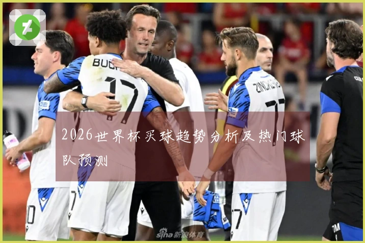 2026世界杯买球趋势分析及热门球队预测
