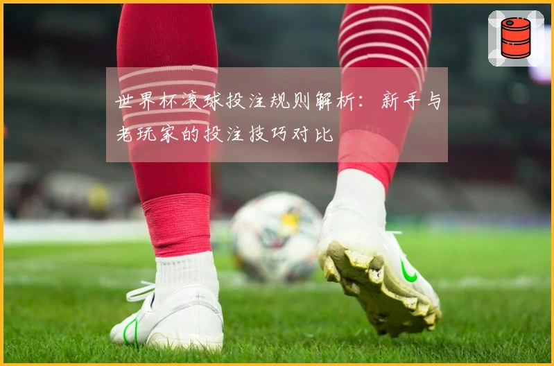 世界杯滚球投注规则解析：新手与老玩家的投注技巧对比