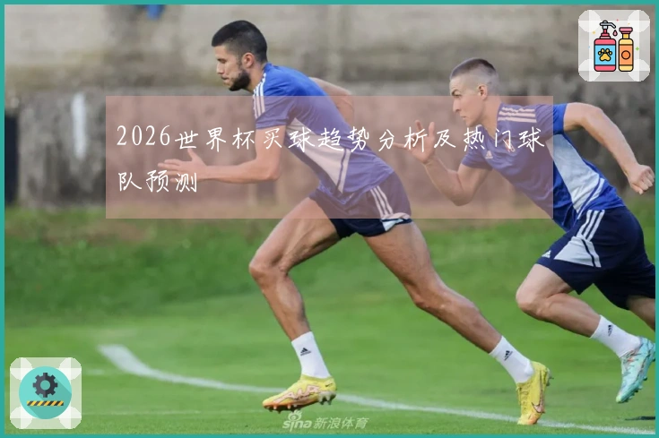 2026世界杯买球趋势分析及热门球队预测